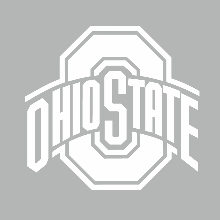 Ohio State primary logo iron on transfer in white...